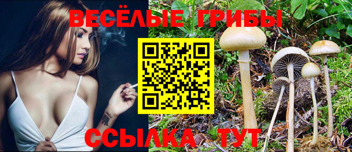 Галлюциногенные грибы ЛСД Новокубанск