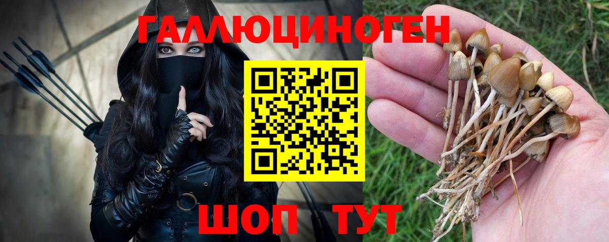 Новокубанск  Псилоцибиновые грибы прущие грибы  Вход с VPN  Галлюциногенные грибы мицелий 